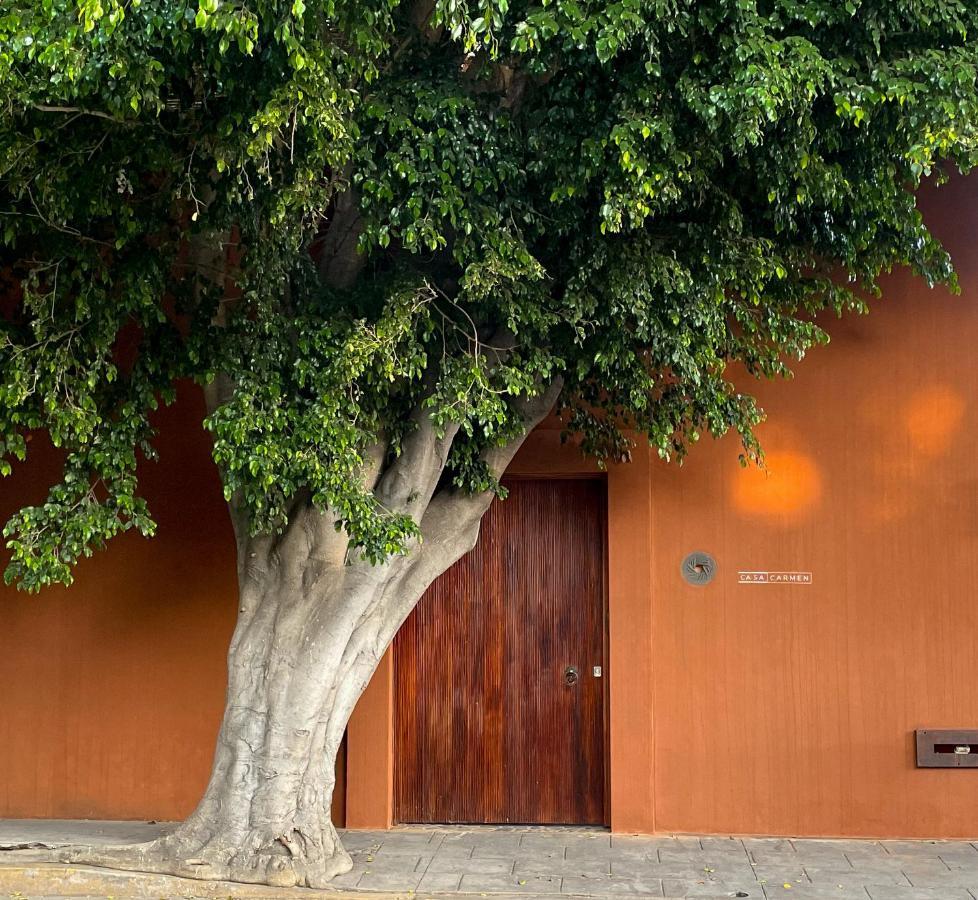 Hotel Casa Carmen Reforma Oaxaca Exterior foto