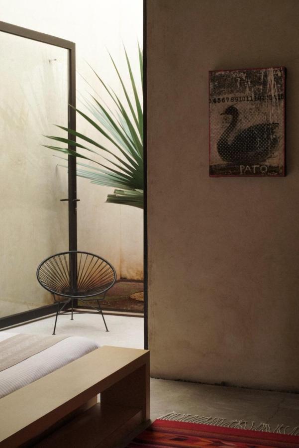 Hotel Casa Carmen Reforma Oaxaca Exterior foto