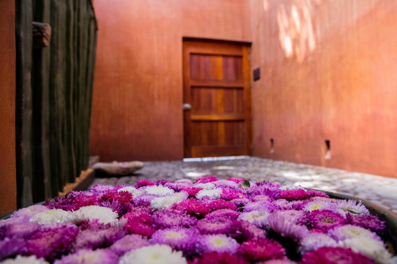 Hotel Casa Carmen Reforma Oaxaca Exterior foto